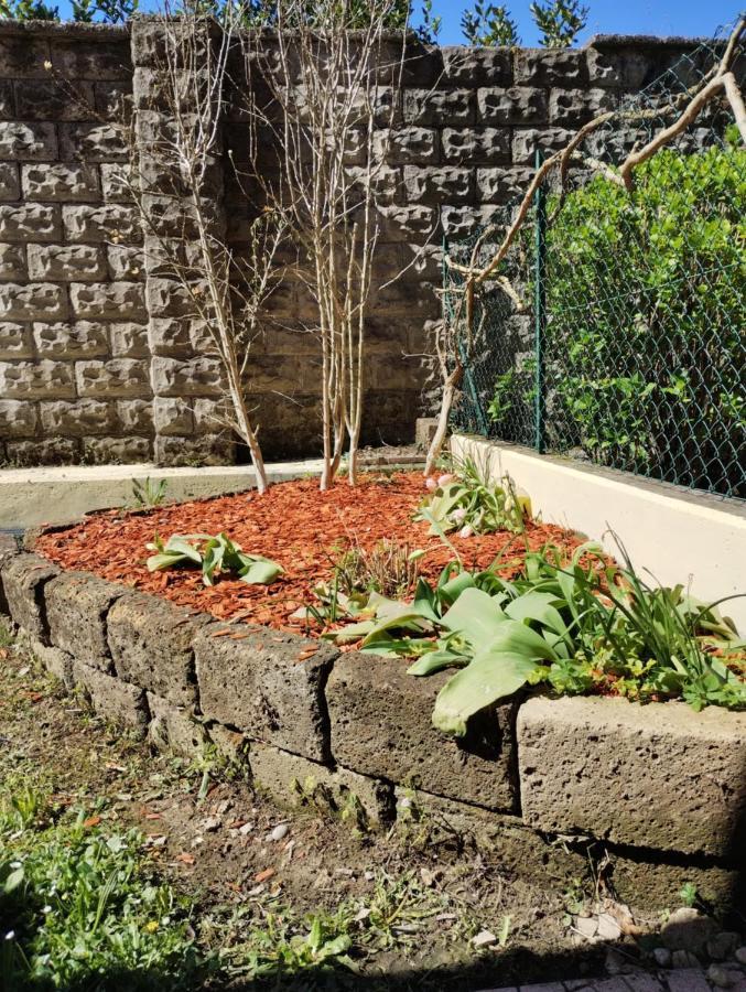Border House Διαμέρισμα Γκορίτσια Εξωτερικό φωτογραφία
